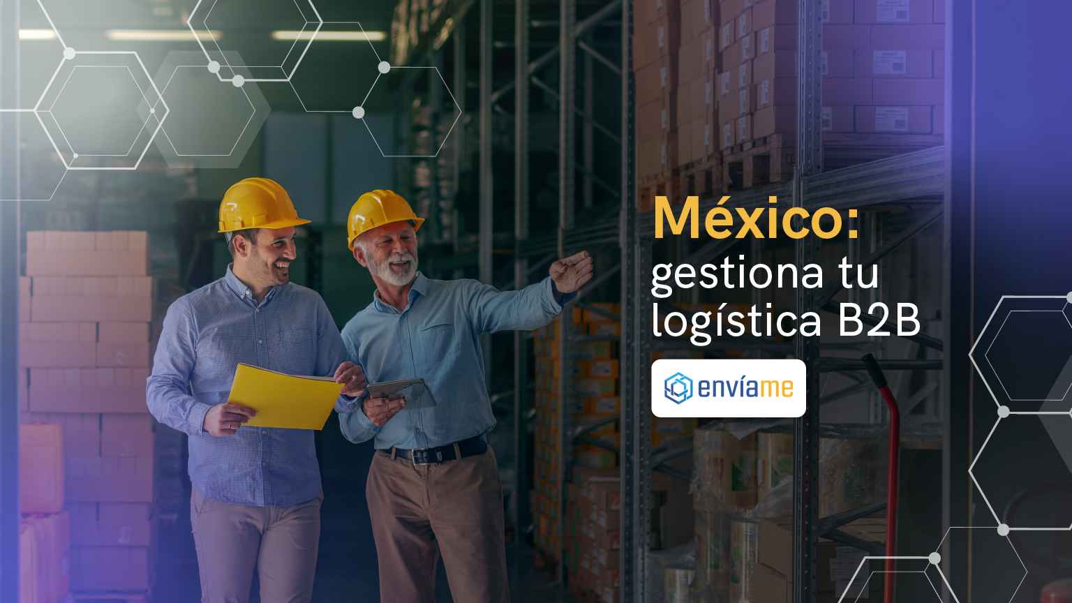 logistica ecommerce b2b